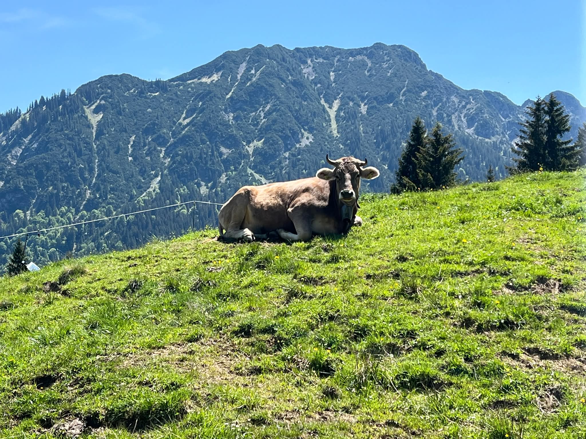 Oberstdorf, Allgäu Alps